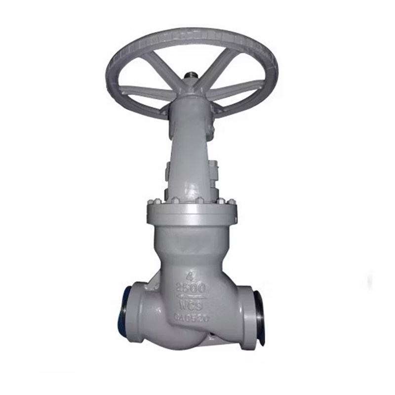 Pressure Seal Bonnet Globe Valve, BS 1873, A217 WC9, 4 Inch