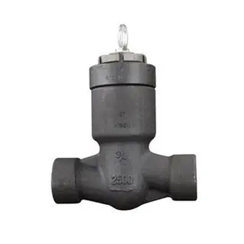 Pressure Seal Lift Check Valve, API 602, A105N, 3/4 IN, CL2500