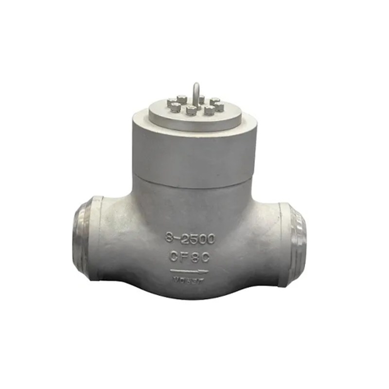 Pressure Seal Swing Check Valve, A351 CF8C, 8 Inch, 2500 LB