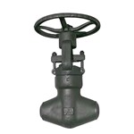 Pressure Sealed Globe Valve, API 602, ASTM A105N, SW, 1 IN, CL2600