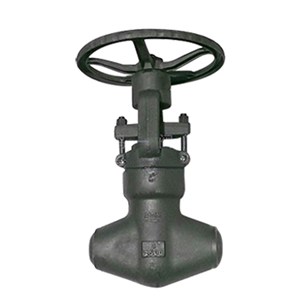 Pressure Sealed Globe Valve, API 602, ASTM A105N, SW, 1 IN, CL2600