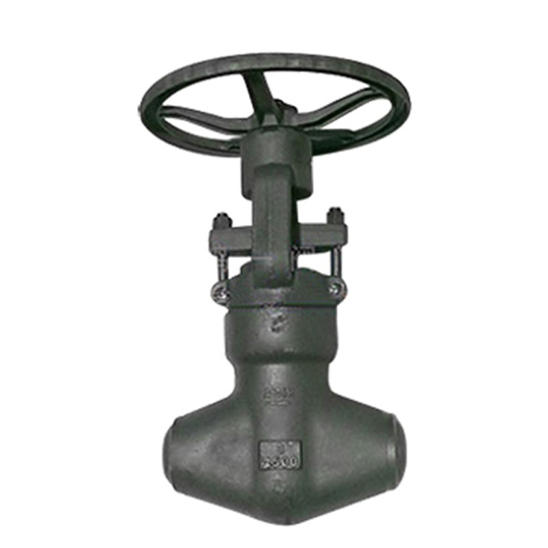 Pressure Sealed Globe Valve, API 602, ASTM A105N, SW, 1 IN, CL2600