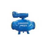 Reduced Bore Ball Valve, API 6D, ASTM A105, DN300, PN25, BW