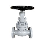 Reduced Port Globe Valve, BS 1873, A216 WCB, 2 IN, 600 LB, RF
