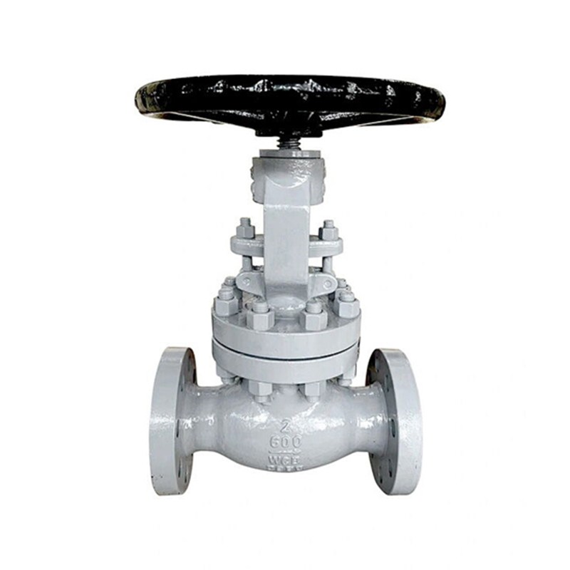 Reduced Port Globe Valve, BS 1873, A216 WCB, 2 IN, 600 LB, RF