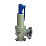 Safety Valve with Radiator, API 526, A216 WCB, DN100, PN16