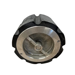 Single Disc Lift Check Valve, API 594, A216 WCB, DN40, PN16