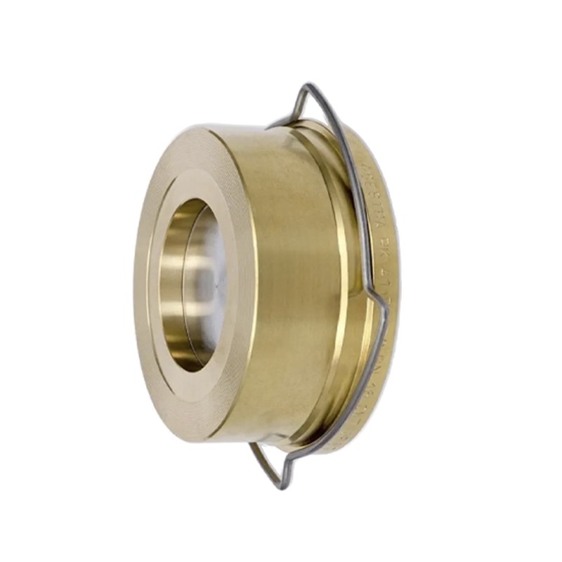 Single Disc Piston Check Valve, API 594, C95800, DN25, PN16