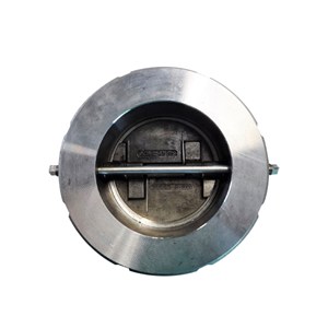 Single Disc Swing Check Valve, API 594, F316L, DN250, PN10