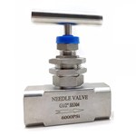 Stainless Steel Needle Valve, SS 316, 6000PSI, FNPT