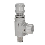 Stainless Steel Safety Valve, ASTM A182 F304, 1/4 IN, CL150