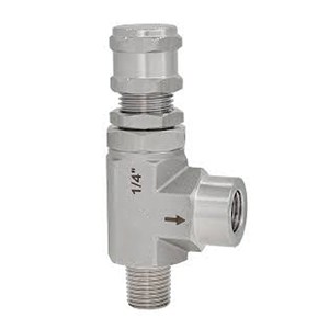 Stainless Steel Safety Valve, ASTM A182 F304, 1/4 IN, CL150