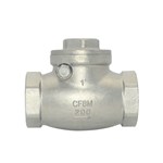 Stainless Steel Swing Check Valve, CF8M, 1 IN, 200 WOG, BSPT
