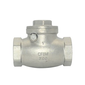 Stainless Steel Swing Check Valve, CF8M, 1 IN, 200 WOG, BSPT
