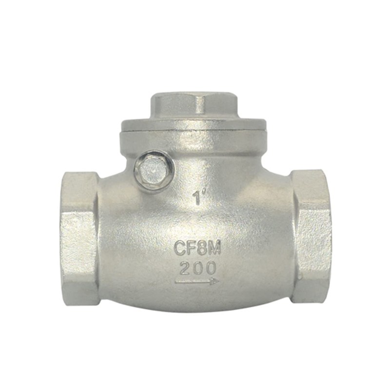 Stainless Steel Swing Check Valve, CF8M, 1 IN, 200 WOG, BSPT