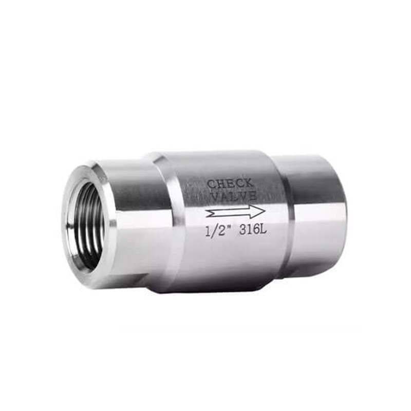 Stainless Steel Vertical Check Valve, F316L, 1/2 Inch, NPT