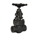 Welded Bonnet Gate Valves, API 602, A105N, 1 Inch, 800 LB