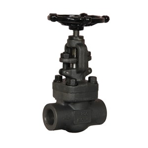 Welded Bonnet Gate Valves, API 602, A105N, 1 Inch, 800 LB
