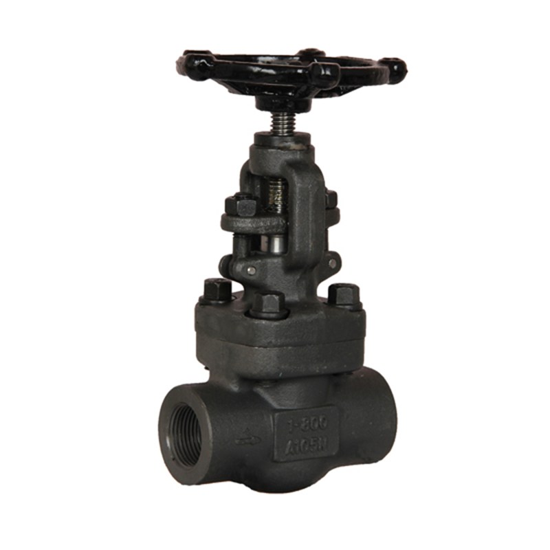Welded Bonnet Gate Valves, API 602, A105N, 1 Inch, 800 LB
