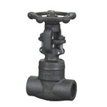 Welded Bonnet Globe Valve, API 602, ASTM A105, 3/4 IN, CL800