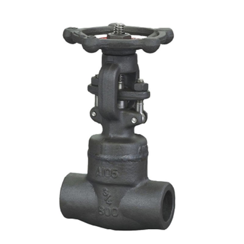 Welded Bonnet Globe Valve, API 602, ASTM A105, 3/4 IN, CL800