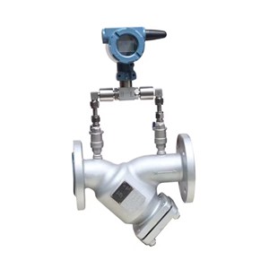 Y Strainer with Pressure Gauge, A351 CF8, 4 Inch, 300 LB, RF