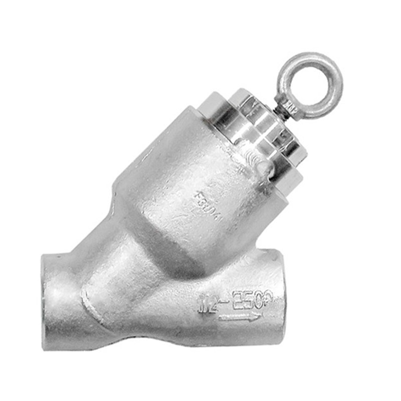 Y Type Pressure Sealed Check Valve, F304, 1/2 Inch, CL2500