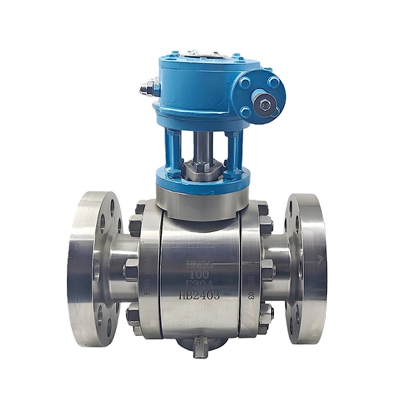 Extended Stem Ball Valve, BS 5351, A182 F304, DN65, PN100, RF